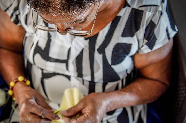 Programa de atenção domiciliar amplia cuidado aos idosos no país
