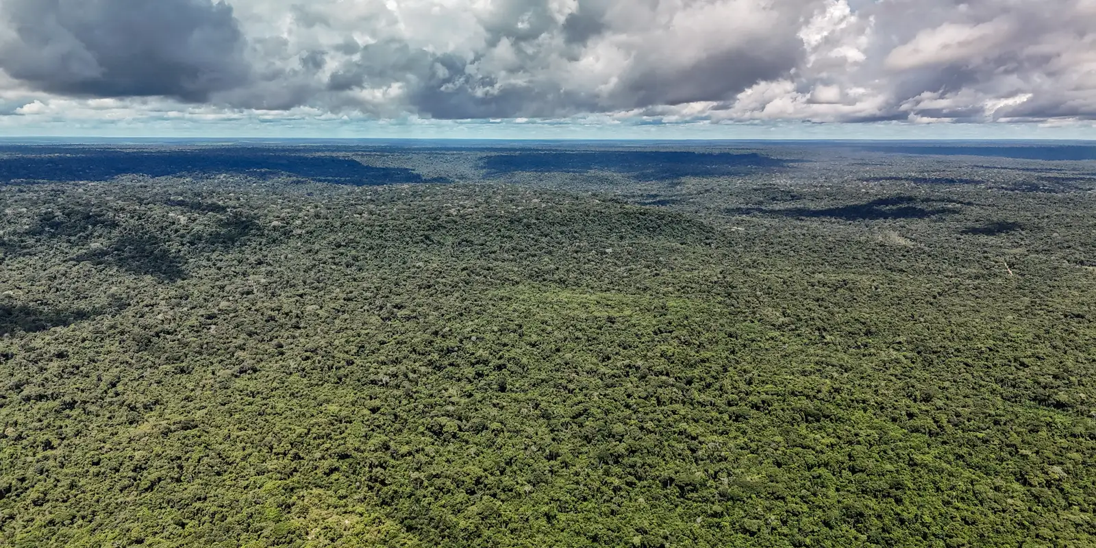 Fazenda autoriza crédito de US$ 1 bilhão do BID para Eco Invest Brasil